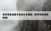 派币钱包加载不出来什么原因（派币钱包视频教程）