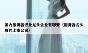 国内服务器行业龙头企业有哪些（服务器龙头股的上市公司）