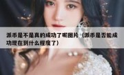 派币是不是真的成功了呢图片（派币是否能成功现在到什么程度了）
