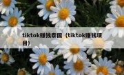 tiktok赚钱泰国（tiktok赚钱项目）