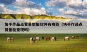 快手作品点赞量增加软件有哪些（快手作品点赞量能变现吗）