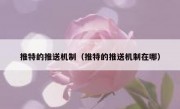 推特的推送机制（推特的推送机制在哪）