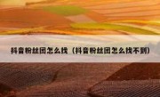 抖音粉丝团怎么找（抖音粉丝团怎么找不到）
