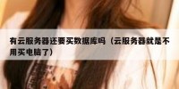 有云服务器还要买数据库吗（云服务器就是不用买电脑了）