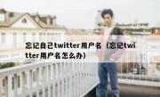 忘记自己twitter用户名（忘记twitter用户名怎么办）