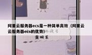 阿里云服务器ecs是一种简单高效（阿里云云服务器ecs的优势）