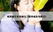 明天哪个车号限行（明天啥车号限行）