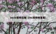 ins小视频在哪（ins视频哪里看）