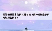 国外粉丝最多的网红排名榜（国外粉丝最多的网红排名榜单）
