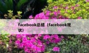 facebook总结（facebook现状）