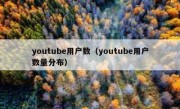 youtube用户数（youtube用户数量分布）