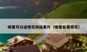 哪里可以进樱花网站看片（哪里能看樱花）