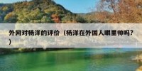 外网对杨洋的评价（杨洋在外国人眼里帅吗?）
