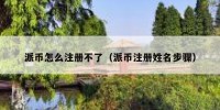 派币怎么注册不了（派币注册姓名步骤）