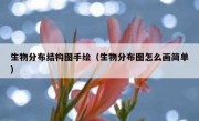 生物分布结构图手绘（生物分布图怎么画简单）