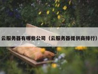 云服务器有哪些公司（云服务器提供商排行）