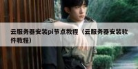 云服务器安装pi节点教程（云服务器安装软件教程）
