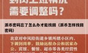 派币密码忘了怎么办才能找回（派币怎样找回密码）