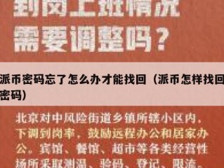 派币密码忘了怎么办才能找回（派币怎样找回密码）