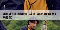 派币钱包激活流程图片高清（派币真的办卡了吗现在）