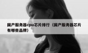 国产服务器cpu芯片排行（国产服务器芯片有哪些品牌）