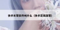 快手长赞软件叫什么（快手花钱涨赞）