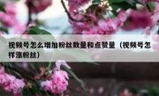 视频号怎么增加粉丝数量和点赞量（视频号怎样涨粉丝）
