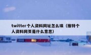 twitter个人资料网址怎么填（推特个人资料网页是什么意思）
