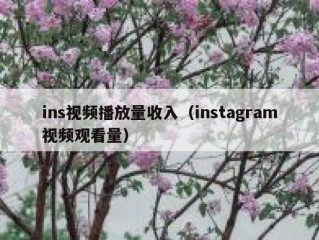 ins视频播放量收入（instagram视频观看量）
