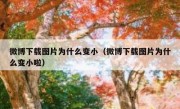微博下载图片为什么变小（微博下载图片为什么变小啦）