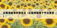 云服务器谁家便宜点（云服务器哪个平台便宜）