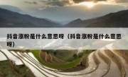 抖音涨粉是什么意思呀（抖音涨粉是什么意思呀）