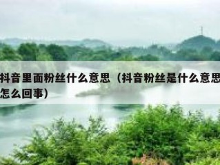 抖音里面粉丝什么意思（抖音粉丝是什么意思怎么回事）