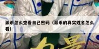 派币怎么查看自己密码（派币的真实姓名怎么看）