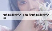 电商怎么做新手入门（无货电商怎么做新手入门）
