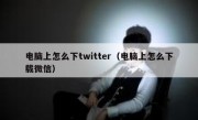电脑上怎么下twitter（电脑上怎么下载微信）