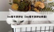 ins看不到评论（ins看不到评论数量）