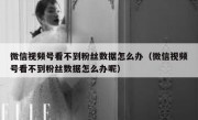 微信视频号看不到粉丝数据怎么办（微信视频号看不到粉丝数据怎么办呢）