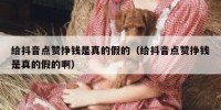 给抖音点赞挣钱是真的假的（给抖音点赞挣钱是真的假的啊）