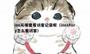 ins从哪里看访客记录呢（insstory怎么看访客）