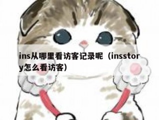 ins从哪里看访客记录呢（insstory怎么看访客）