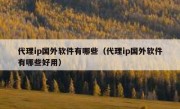 代理ip国外软件有哪些（代理ip国外软件有哪些好用）
