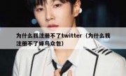 为什么我注册不了twitter（为什么我注册不了蜂鸟众包）