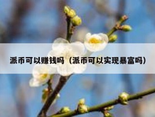 派币可以赚钱吗（派币可以实现暴富吗）