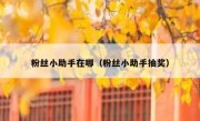 粉丝小助手在哪（粉丝小助手抽奖）