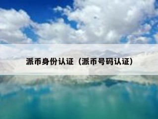 派币身份认证（派币号码认证）