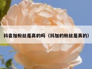 抖音加粉丝是真的吗（抖加的粉丝是真的）