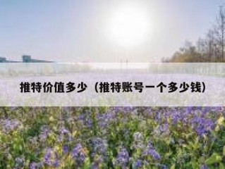 推特价值多少（推特账号一个多少钱）