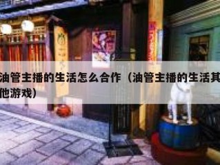 油管主播的生活怎么合作（油管主播的生活其他游戏）