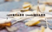 coDE是什么意思（model是什么意思）